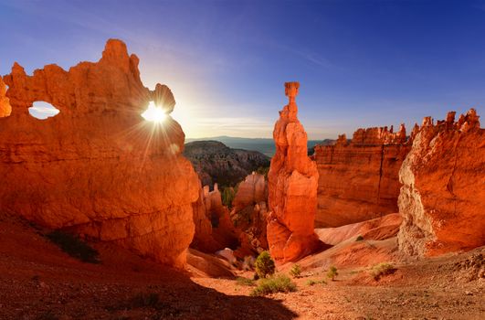 Thor's hammer in Bryce Canyon National Park in Utah USA at sunrise.