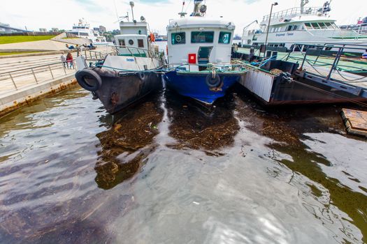 Environmental disaster. Spill of oil products into the sea. Dirty water area of the Golden Horn Bay in Vladivostok