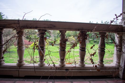 An Old Stone Railing Covered in Dead Ivy