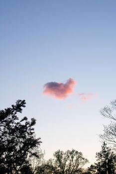 A Heart Shaped Pink Cloud on a Clear Blue Sky With Trees Around the Frame