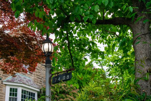 An Old Fashioned Black Metal Light Post Turned on Surrounded by Trees and Foliage