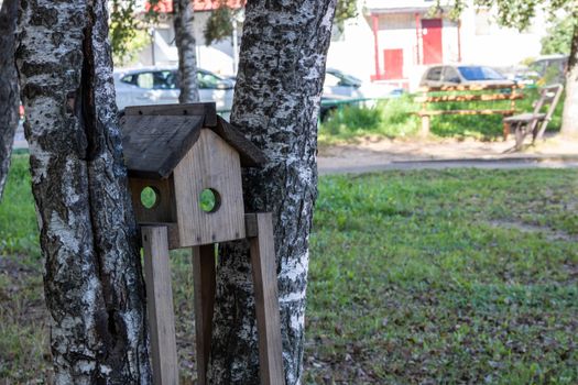 Wooden bird feeder for feeding birds hanging on tree branches in spring time, blurry unfocused Park background, animal care theme Wallpaper concept image template.