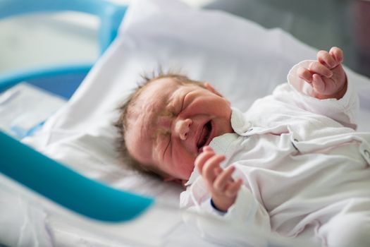 Beautiful newborn baby boy, laying in a small crib holding his father finger in prenatal hospital