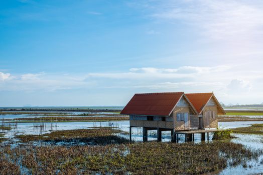 Abandoned house in the middle of the lake, is a landmark, is an important tourist attraction, of Phatthalung province, which has a nice atmosphere, and is beautiful in the evening, with the soft sun