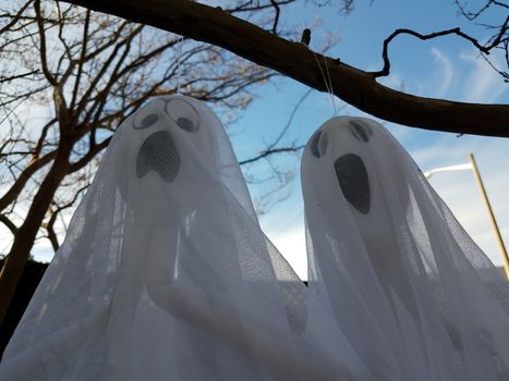 white ghosts decoration hanging from tree branch