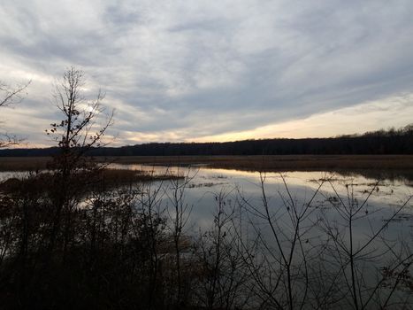 clouds and water and trees on lake or pond at sunset or sunrise