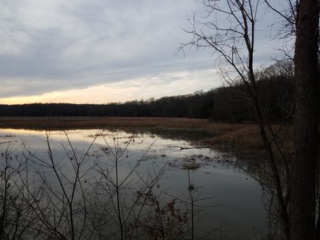 clouds and water and trees on lake or pond at sunset or sunrise