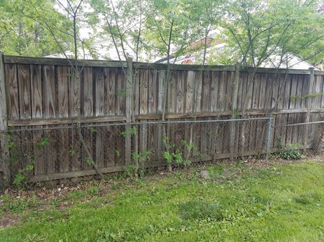 metal and wood fences with trimmed trees and grass or lawn