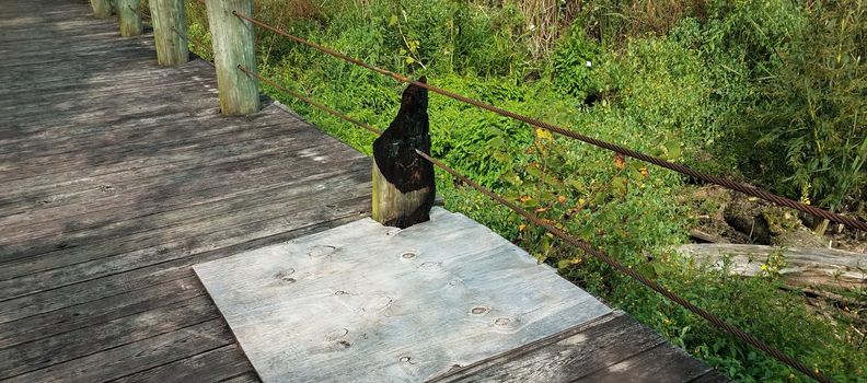 burned wood from lightning strike and metal cable on pier or boardwalk