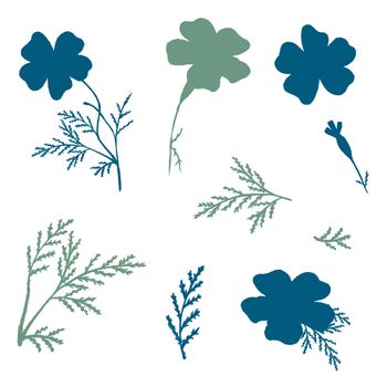 Set of Green and Blue Hand-Drawn Isolated Flower. Monochrome Botanical Plant Illustration. Thin-leaved Marigolds Silhouettes for Print, Tattoo, Design, Holiday, Wedding and Birthday Card.