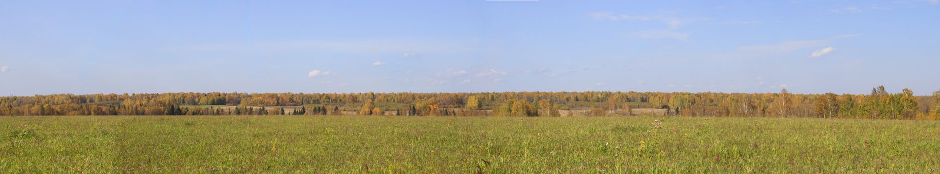 Autumn nature in panorama. Autumn yellow forest and field. Blue sky with clouds over the forest.