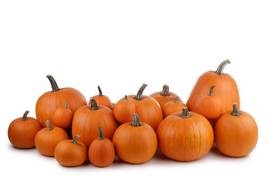 Heap of many orange pumpkins of the same kind isolated on white background , Halloween concept