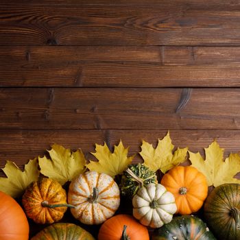 Many colorful pumpkins and maple leaves frame on wooden background with copy space for text , autumn harvest , Halloween or Thanksgiving concept