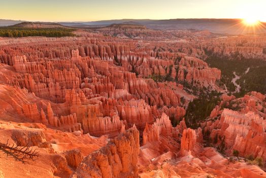 Hoodoos at sunrise in Bryce Canyon National Park, Utah USA