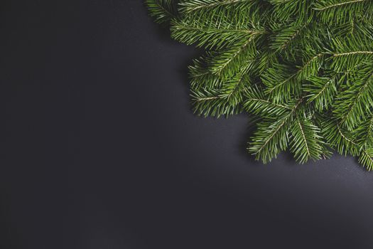 Christmas fir tree branch corner border fame on black paper stylish background with copy space for text