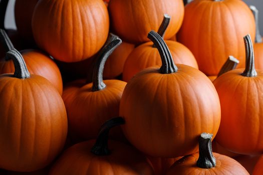 Many pumpkins collection on the autumn market