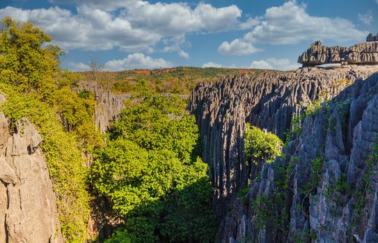 Famous grey tsingy peaks in Bemaraha