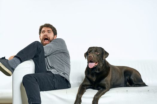 Happy man and dog on the couch In a bright room pet is a friend of man. High quality photo