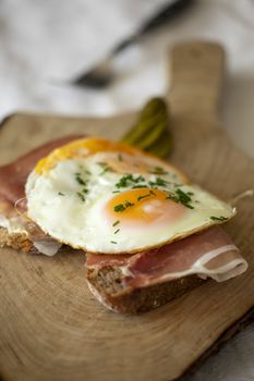 eggs sunny side up on rye bread