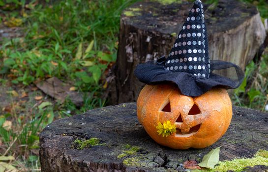 A Jolly pumpkin in a Witch's hat is sitting on an old tree stump.The Concept Of Halloween.