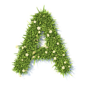 Grass font Letter A 3D rendering illustration isolated on white background