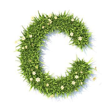 Grass font Letter C 3D rendering illustration isolated on white background