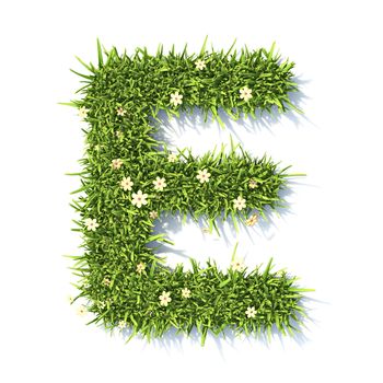 Grass font Letter E 3D rendering illustration isolated on white background