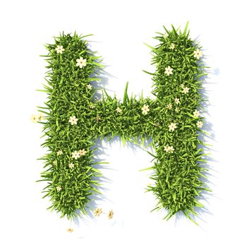 Grass font Letter H 3D rendering illustration isolated on white background