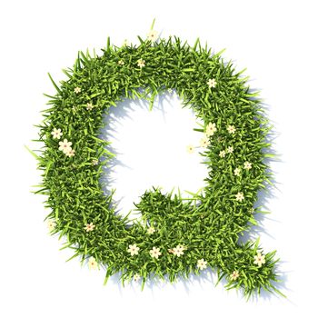 Grass font Letter Q 3D rendering illustration isolated on white background