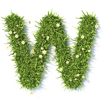 Grass font Letter W 3D rendering illustration isolated on white background