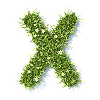 Grass font Letter X 3D rendering illustration isolated on white background