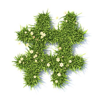 Grass font Hashtag sign 3D rendering illustration isolated on white background