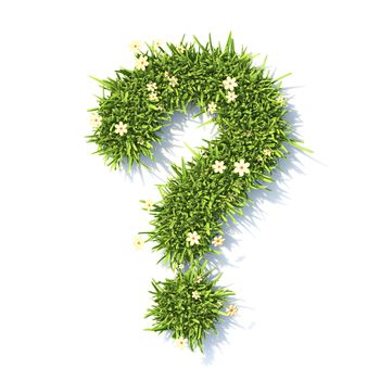 Grass font Question mark sign 3D rendering illustration isolated on white background