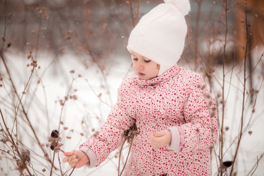 A little girl sits in the snow and picks dried plants on sunny winter day.