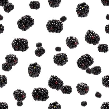 Falling Bramble Seamless pattern. Fresh Falling blackberry seamless pattern. Square pattern with fresh wild berries isolated on white background. flat lay.