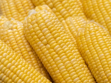 Close-up group sweet corn. Abstract backgrounds of freshness maize. Peeled raw corn, ready to cook.
