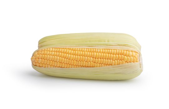2 Freshness raw corn isolated on the white background with clipping paths. Yellow seeds under the peel.