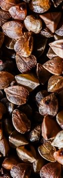 Buckwheat grain closeup, food texture and cook book backgrounds