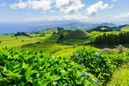 Beautiful landscape sceneries in Azores Portugal. Tropical nature in Sao Miguel Island, Azores.