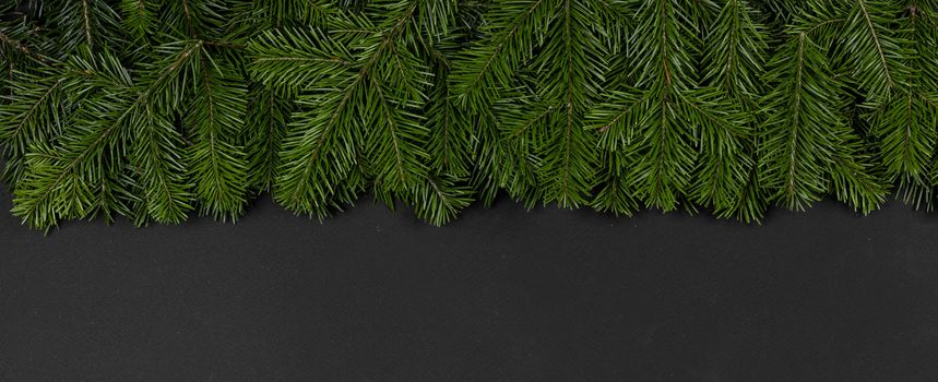 Christmas fir tree branch border fame on black paper stylish background with copy space for text