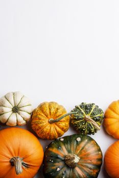 Frame of various colorful pumpkins isolated on white background , Halloween concept , copy space for text