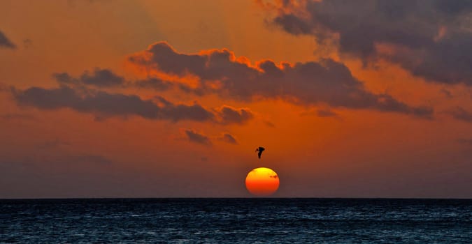 Beautiful pictures of Aruba