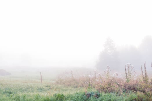 Thick fog. Rural landscape on a early foggy morning in the village, soft focus