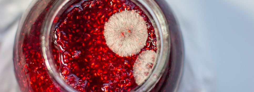 Mold in a jar of raspberry jam. Hazardous to health. Mold. High quality photo
