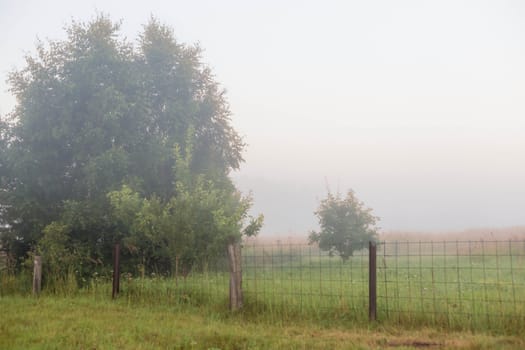 Thick fog. Rural landscape on a early foggy morning in the village, soft focus