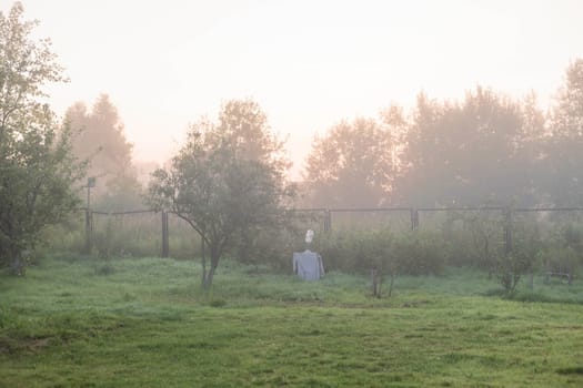 Thick fog. Rural landscape on a early foggy morning in the village, soft focus