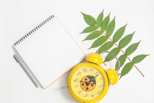 White paper blank and white whalnut leaf on gray background. Flat lay, top view, copy space.