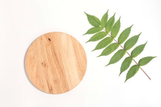 Bamboo Cutting Board with green leaf white whalnut on white background. Eco friendly housekeeping concept