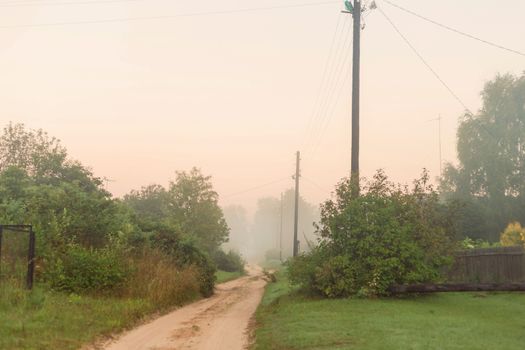 Rural landscape on a early foggy morning in the village