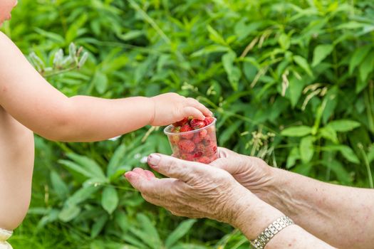 Grandmother gives her grandson some strawberries in her country house garden. Active retirement lifestyle.